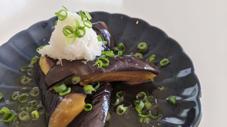 Featured Image Japanese Style Braised Eggplant Recipe
